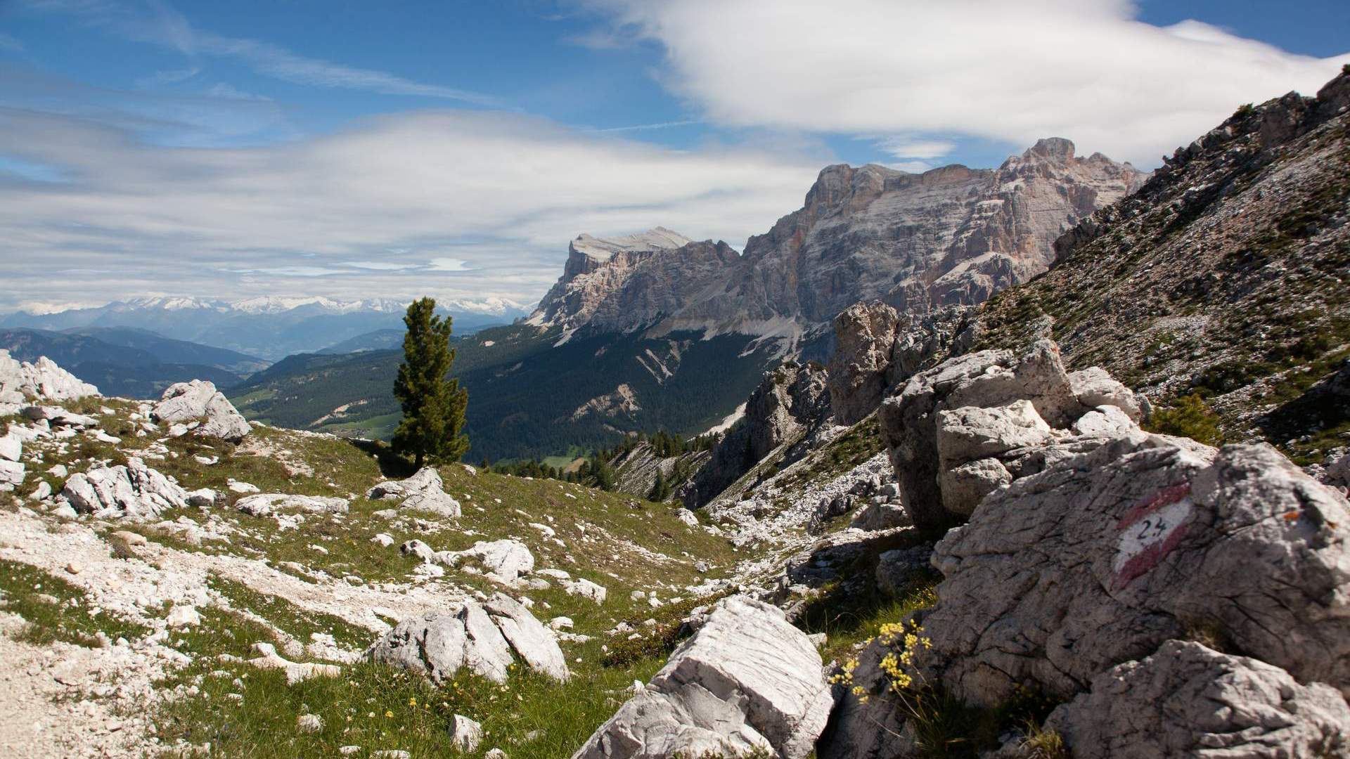 alto-adige-4.jpg